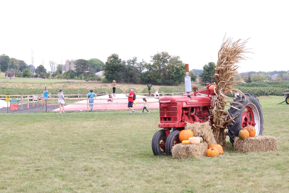 Red Farmall tractor with pumpkins, people on inflatable, green field background, Thompson Adventure Farm