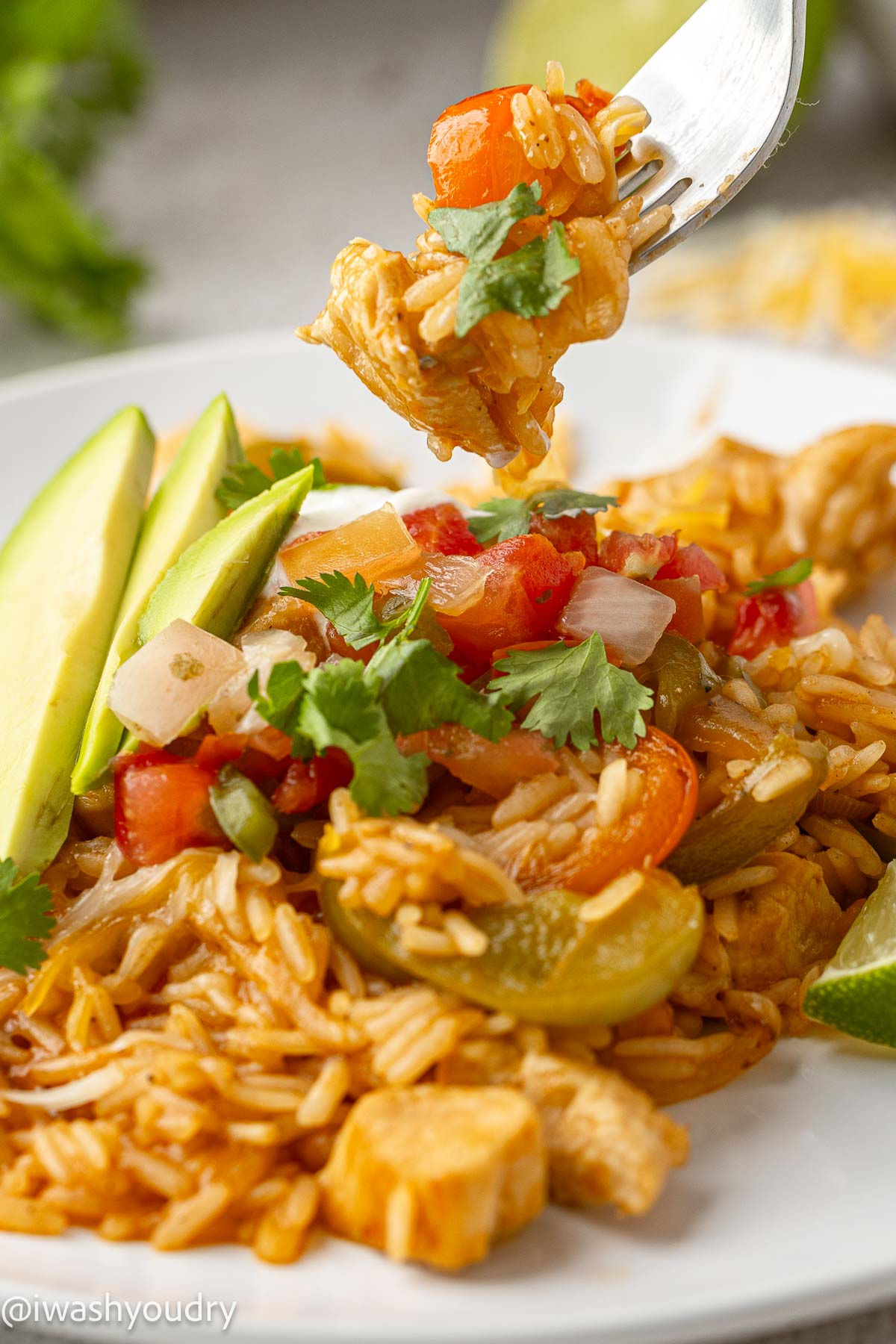 Chicken Fajita Rice Skillet-12