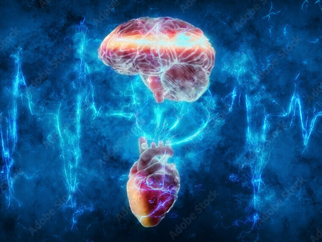 The Human Electromagnetic Field and the Heart-Brain Connection