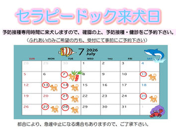 7月セラピードッグ来犬日