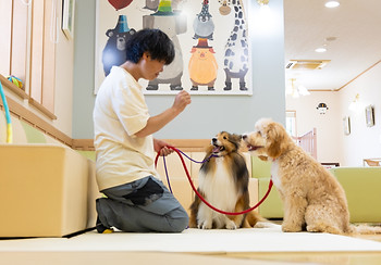 ファミリークリニックせぐち小児科|米子市