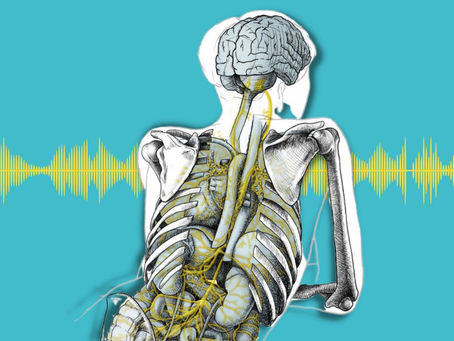 How Frequencies Affect Us