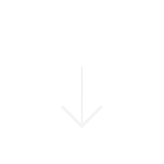 Icon Arrow Down (1).gif