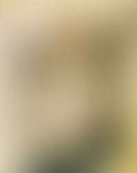 Map of Constantinople (1422) by Florentine cartographer Cristoforo Buondelmonte