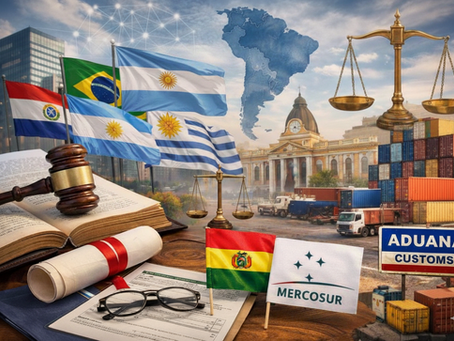 Bolivia y el Mercosur: exigencias normativas internas desde la óptica del derecho constitucional y del comercio exterior