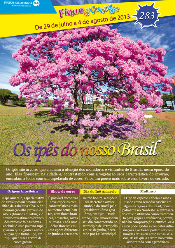 fique_a_vontade283---IPES-do-Brasil.jpg