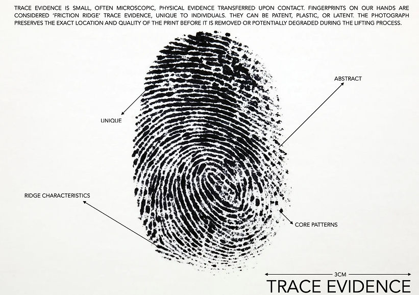 trace evidence crit link WEB.1.jpeg