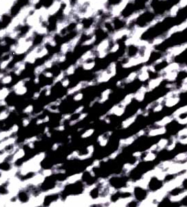 INVERTED 4.jpg