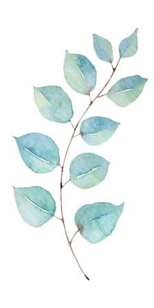 Leaves.png