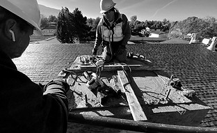 workers5_edited.jpg