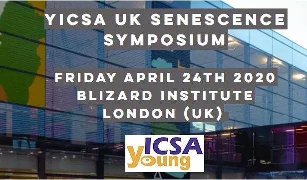 Another yICSA symposium in London