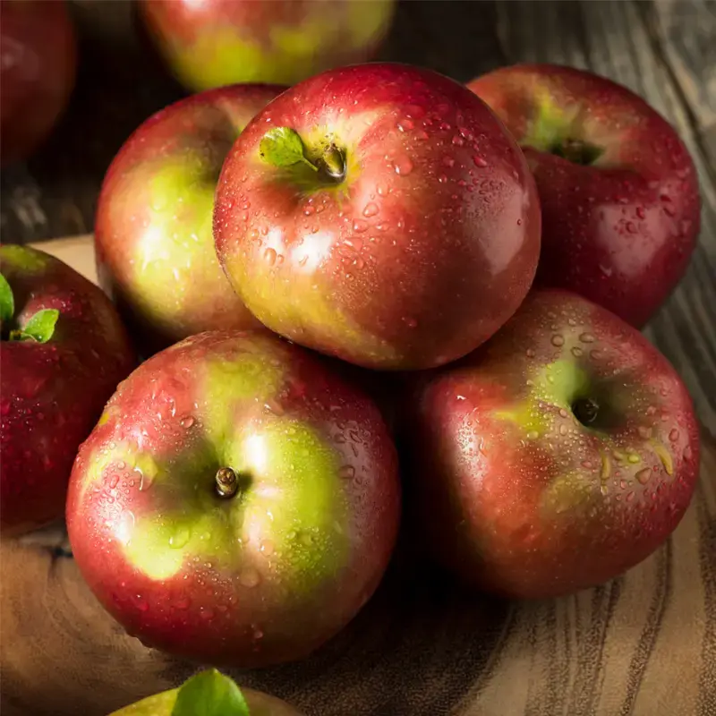 McIntosh Apples