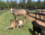 Thumbnail: VSH Patagonia