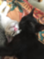 Lilly & Luna