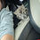 Thumbnail: Midcontent Female 
