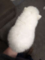 Thumbnail: Midcontent White Male 