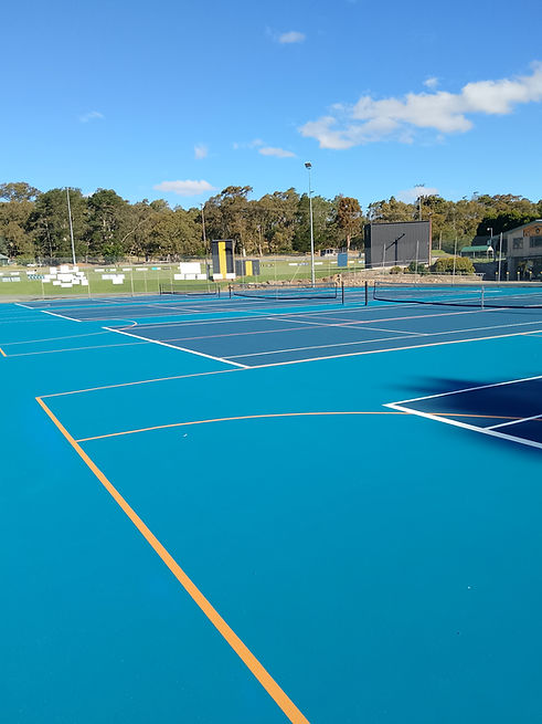 Courts eastwards view (1).jpg