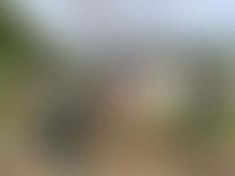 CONTINÚAN LOS OPERATIVOS CONTRA LA MAL LLAMADA MINERÍA ILEGAL EN EL CHOCÓ