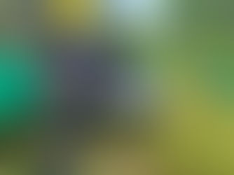 𝗘𝗻 𝘇𝗼𝗻𝗮 𝗿𝘂𝗿𝗮𝗹 𝗱𝗲𝗹 𝗖𝗵𝗼𝗰ó 𝗲𝗹 𝗖𝗼𝗺𝗶𝘁é 𝗜𝗻𝘁𝗲𝗿𝗻𝗮𝗰𝗶𝗼𝗻𝗮𝗹 𝗱𝗲 𝗹𝗮 𝗖𝗿𝘂𝘇 𝗥𝗼𝗷𝗮 𝗿𝗲𝗰𝗶𝗯𝗲 𝗮 𝘂𝗻𝗮 𝗽𝗲𝗿𝘀𝗼𝗻𝗮 𝗾𝘂𝗲 𝗲𝘀𝘁𝗮𝗯𝗮 𝗲𝗻 𝗽𝗼𝗱𝗲𝗿 𝗱𝗲 𝗹𝗮𝘀