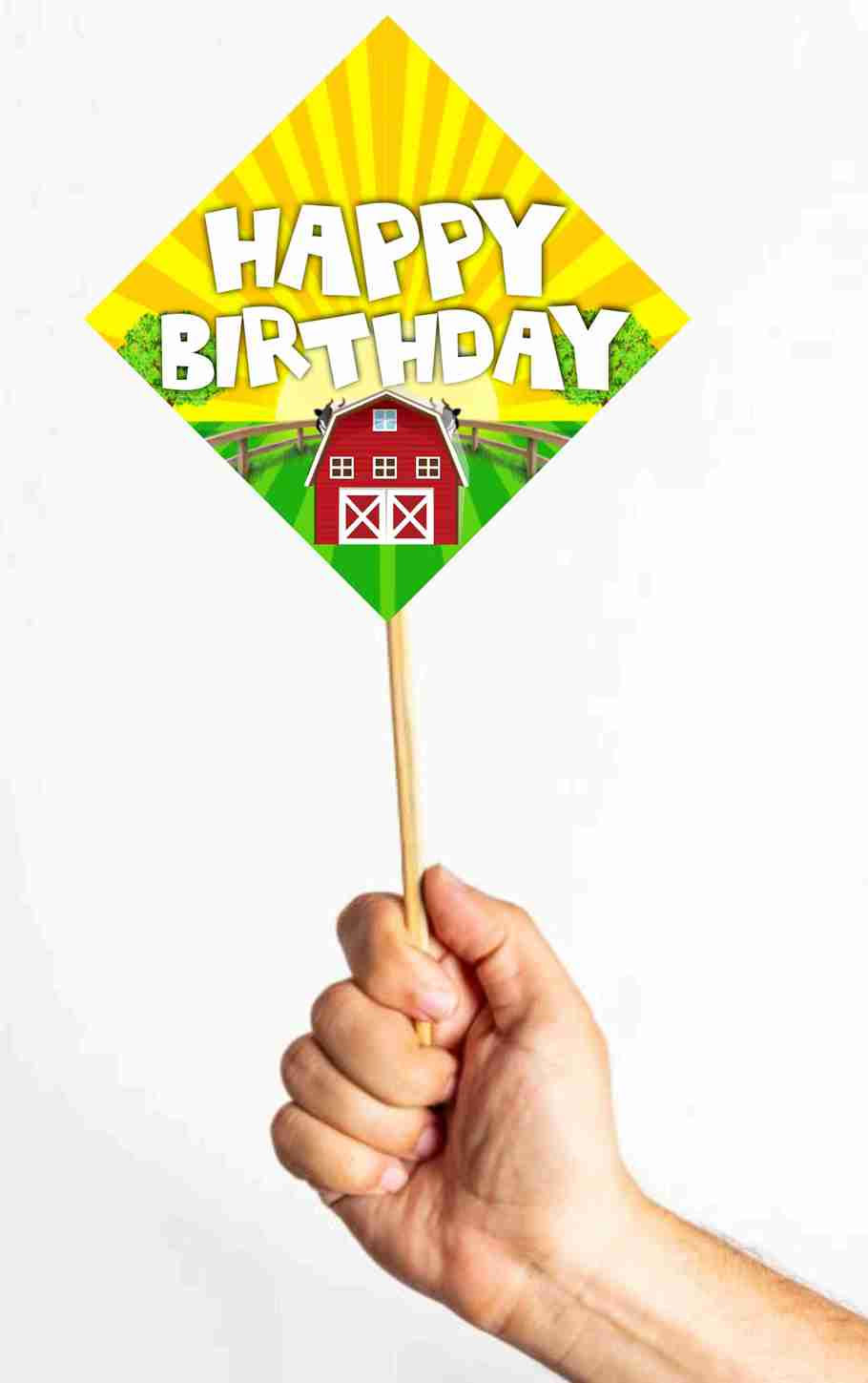 Thumbnail: Farm Theme Photo Props for Party Photo Booth - Pack of 10