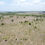 Miniatura: Land for Sale Higuey - La Romana- Punta Cana, 992,139 m²