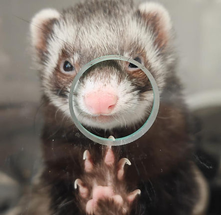 WhatsApp Image 2026-01-18 at 11.23.38.jpeg