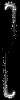 640158_4215c49ae8924d03b56b84d75cfc736d~mv2.gif