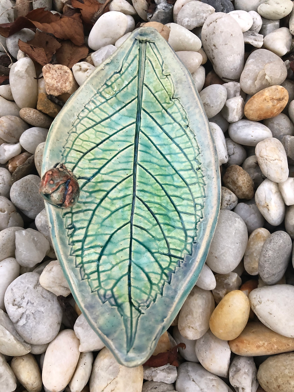 Thumbnail: Wisdom leaf - hydrangea 