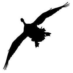 Goose Silhouette Decal Sticker
