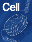 Cover of Cell, Nov 17, 2016