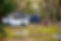 IMG_9550[1]_edited.jpg