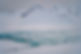 DSC07010-Edit.jpg