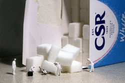 CSI_Sugar_Accident_IMG_6295_small