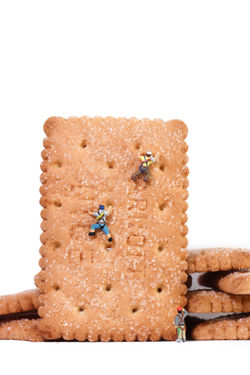 139 Climbing the Nice_2416