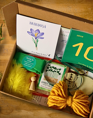 Primăvara | Cutia Naturii (Format Fizic)