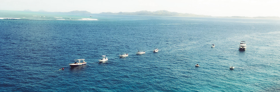 Drone shot of Fiji