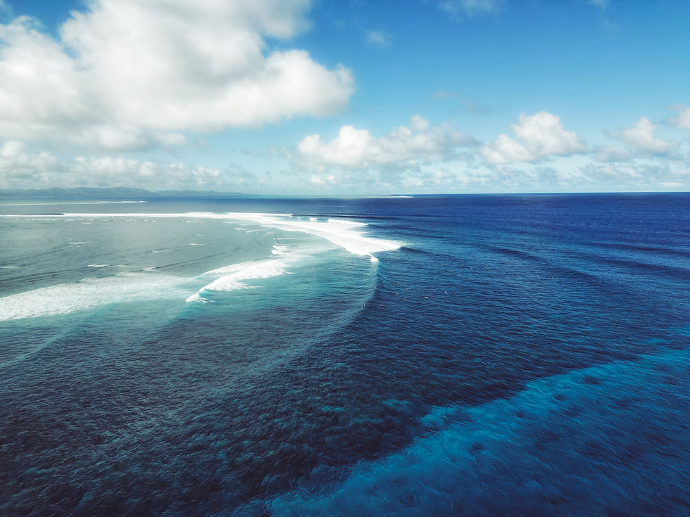 DJI_0317.jpeg