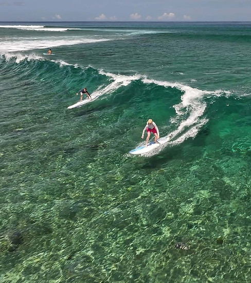 Surf Lesson