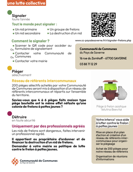 FRELON 2.png