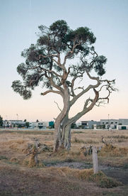 Photographe Annecy - Fine Art