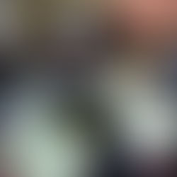 地下滑りセミナー@木村屋旅館