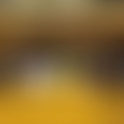 機械系院生会フットサル大会