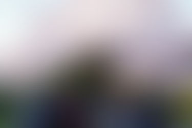 歓迎会 & お花見 -2024-