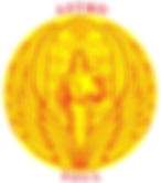 AS Logo Master Color.jpeg