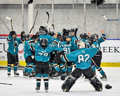 Silver Sticke Hockey Tournament