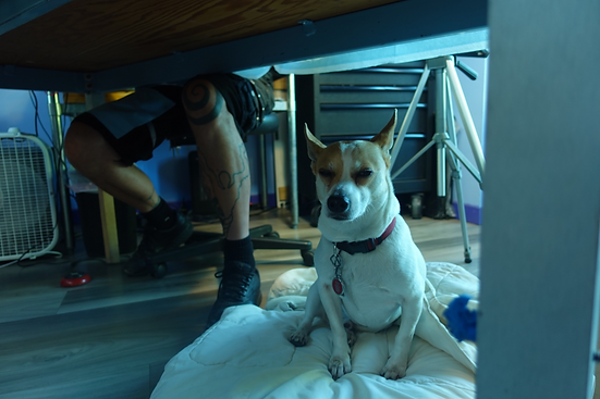 Screen Shot 2024-07-27 at 1.49.56 PM.png