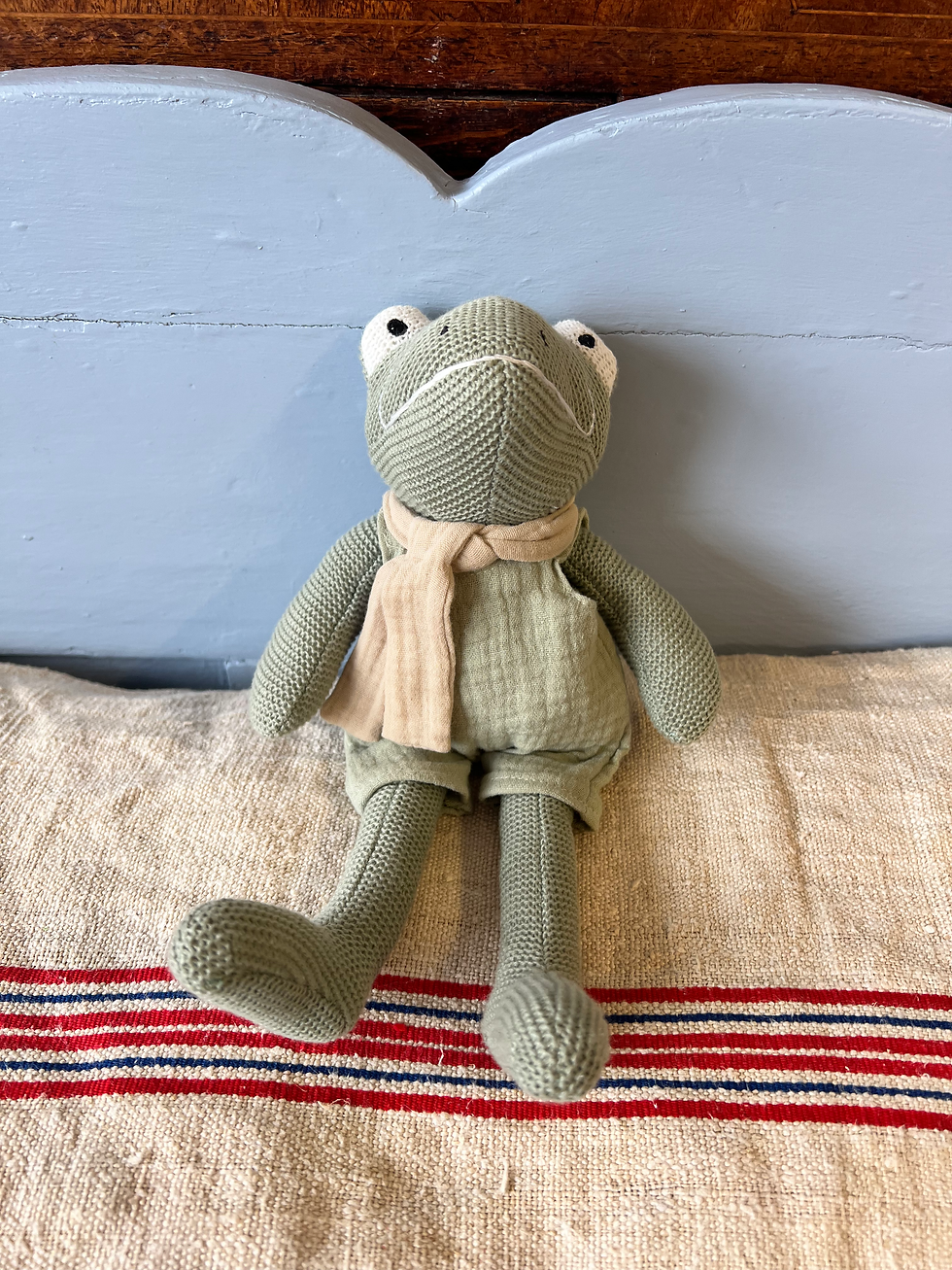 Thumbnail: Egmont Frog Soft Toy