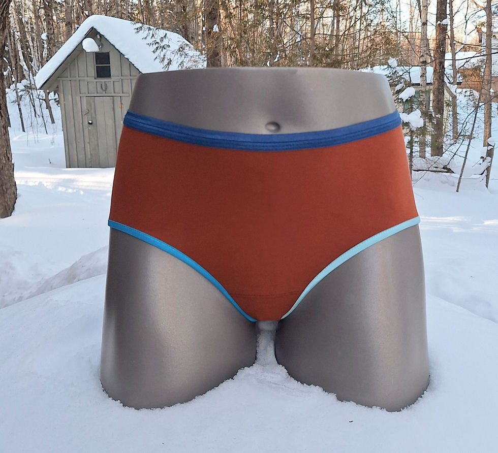 Thumbnail: High-rise Fullback Panties XS-XXL