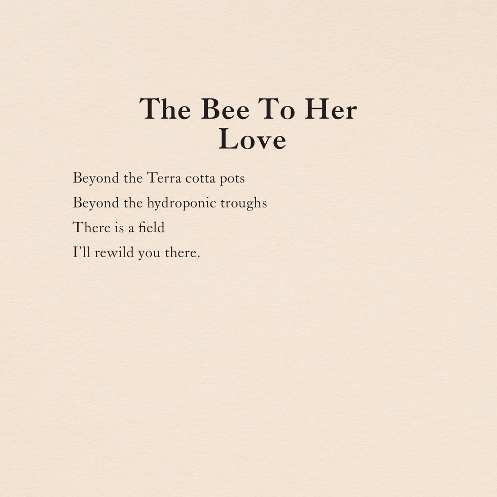 The Bee to Her Love ◦ Poem