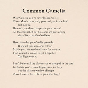 Common Camelia ◦ Poem